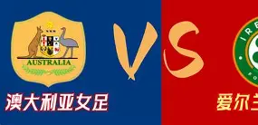 米兰体育-爱尔兰憾负奥地利，晋级之路险象环生