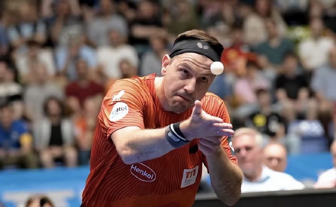 德国乒乓球队碾压比利时乒乓球队，波尔打破历史纪录的简单介绍